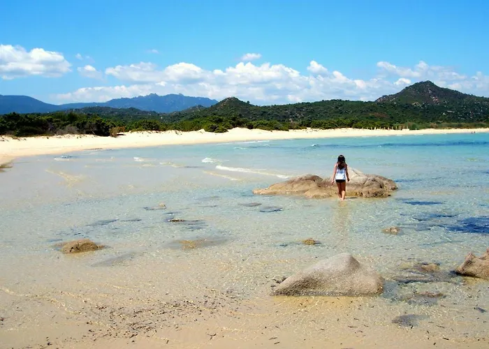 Vacation Ever, *